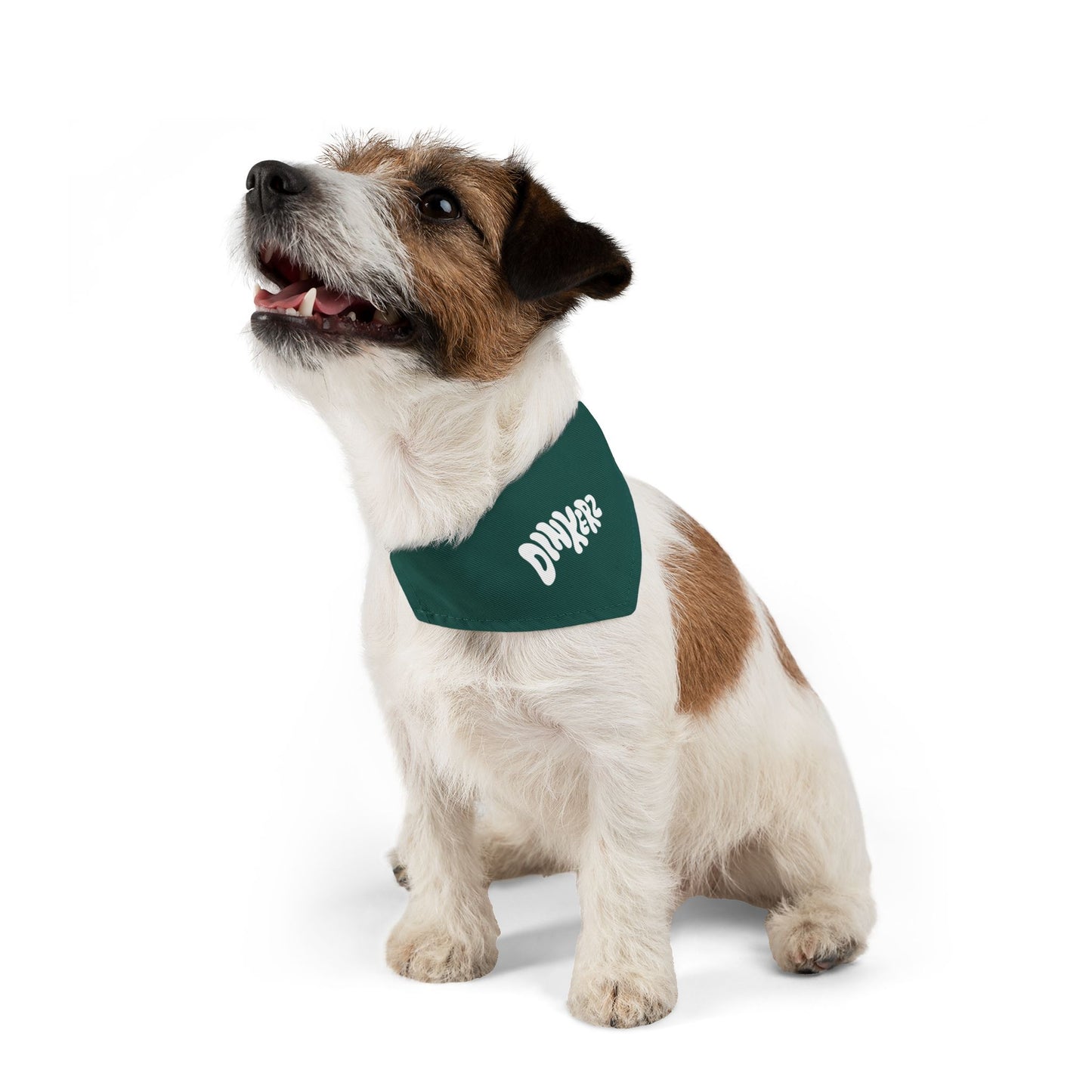 Green Bandana Collar - Dinkerz Dogs